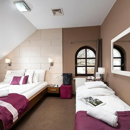 Hotel Fuerdohaz 3*